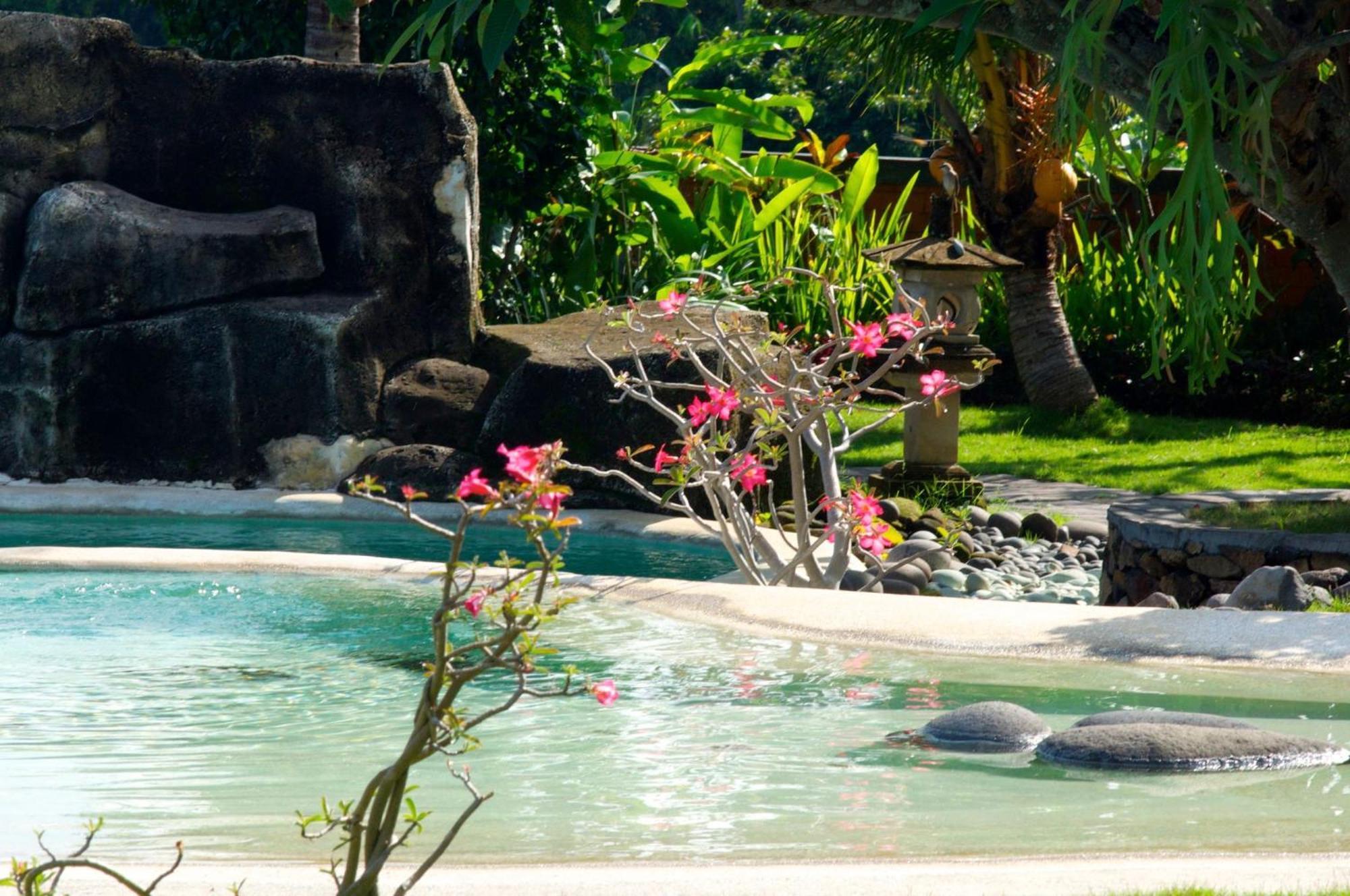 Villa Bali Pondok Jepang Lovina Eksteriør billede